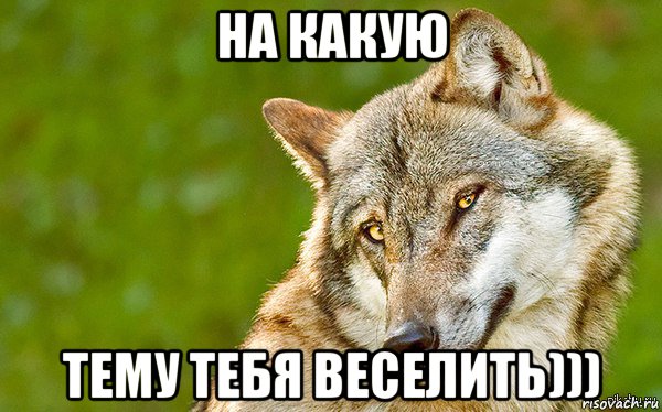 на какую тему тебя веселить)))