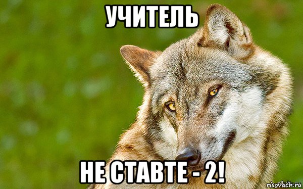 учитель не ставте - 2!, Мем   Volf