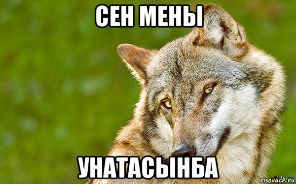 сен мены унатасынба, Мем   Volf