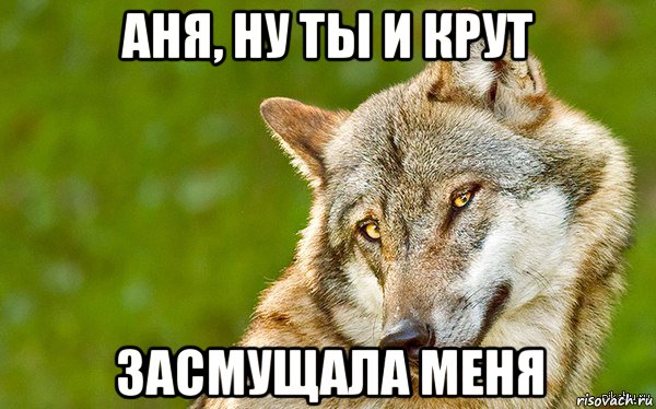 аня, ну ты и крут засмущала меня, Мем   Volf