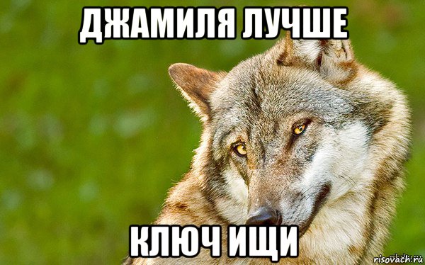 джамиля лучше ключ ищи, Мем   Volf