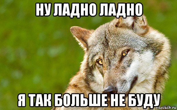 ну ладно ладно я так больше не буду, Мем   Volf