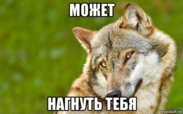 может нагнуть тебя, Мем   Volf