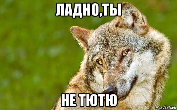 ладно,ты не тютю, Мем   Volf