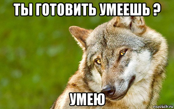 ты готовить умеешь ? умею