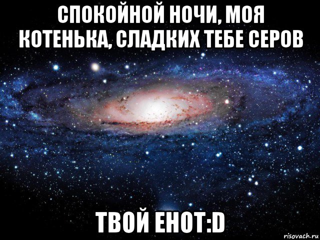 спокойной ночи, моя котенька, сладких тебе серов твой енот:d, Мем Вселенная