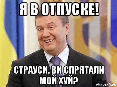 я в отпуске! страуси, ви спрятали мой хуй?