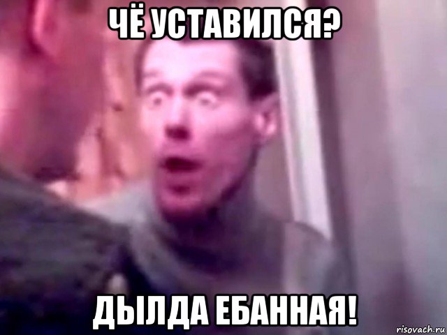 чё уставился? дылда ебанная!, Мем Запили