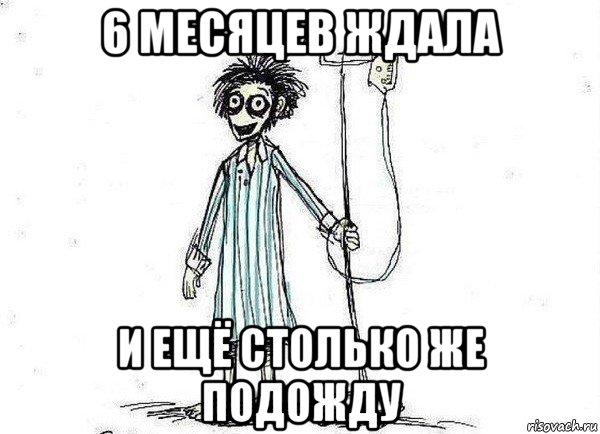 6 месяцев ждала и ещё столько же подожду, Мем  зато я сдал