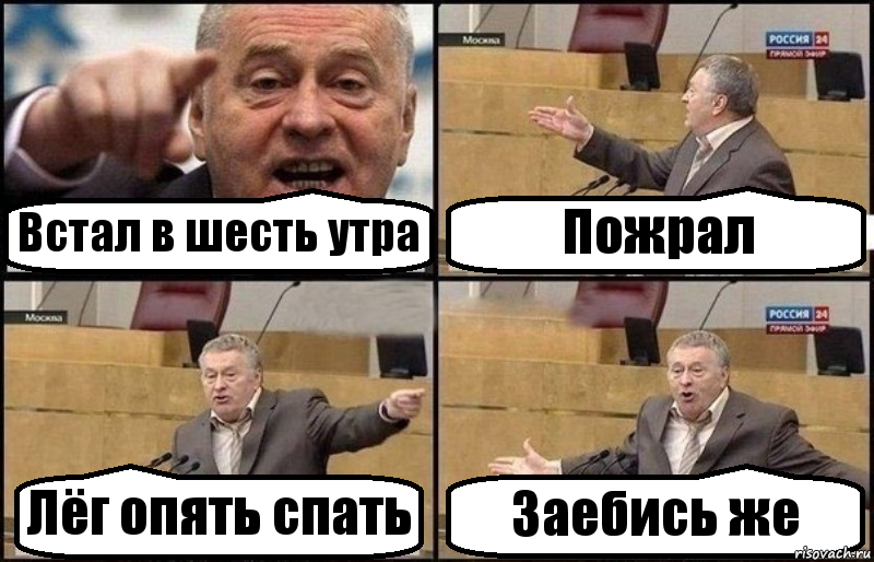 Встал в шесть утра Пожрал Лёг опять спать Заебись же, Комикс Жириновский