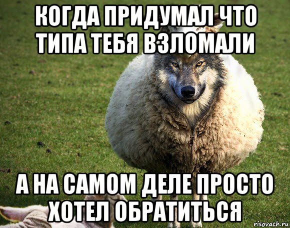 когда придумал что типа тебя взломали а на самом деле просто хотел обратиться, Мем Злая Овца