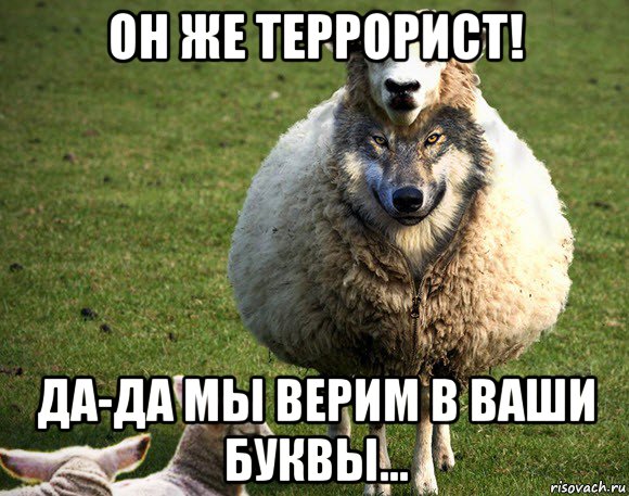 он же террорист! да-да мы верим в ваши буквы..., Мем Злая Овца