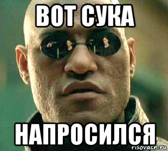 вот сука напросился