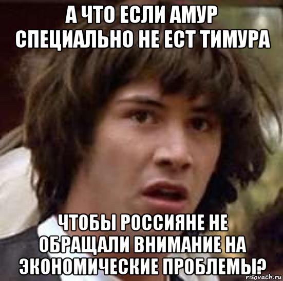 а что если амур специально не ест тимура чтобы россияне не обращали внимание на экономические проблемы?, Мем А что если (Киану Ривз)