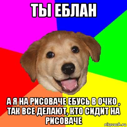 ты еблан а я на рисоваче ебусь в очко , так все делают, кто сидит на рисоваче, Мем Advice Dog