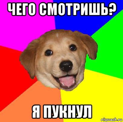 чего смотришь? я пукнул, Мем Advice Dog