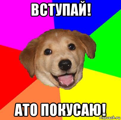 вступай! ато покусаю!, Мем Advice Dog