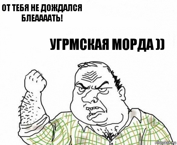 от тебя не дождался блеаааать! угрмская морда ))