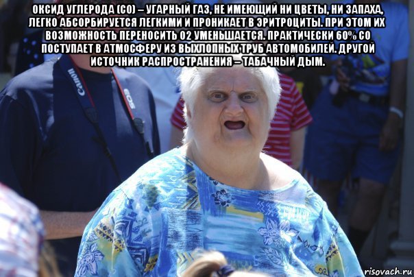 оксид углерода (со) – угарный газ, не имеющий ни цветы, ни запаха, легко абсорбируется легкими и проникает в эритроциты. при этом их возможность переносить о2 уменьшается. практически 60% со поступает в атмосферу из выхлопных труб автомобилей. другой источник распространения – табачный дым. , Мем Шта (Бабка wat)