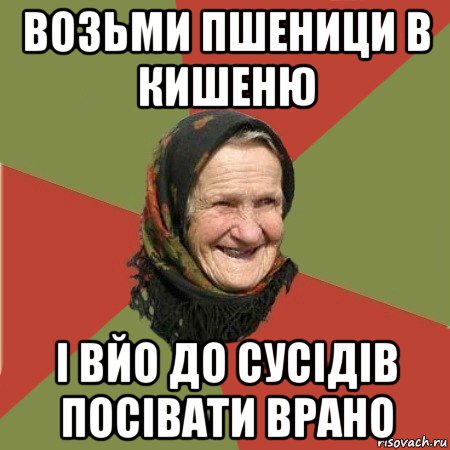 возьми пшеници в кишеню і вйо до сусідів посівати врано, Мем  Бабушка