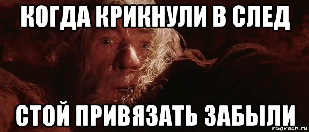 когда крикнули в след стой привязать забыли