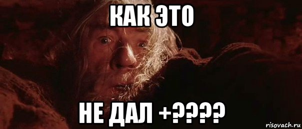 как это не дал +????, Мем бегите глупцы