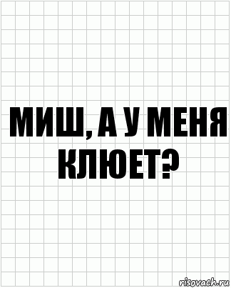 миш, а у меня клюет?