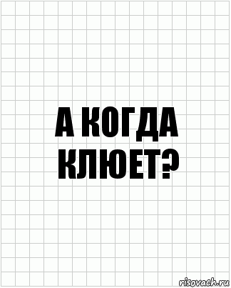 а когда клюет?