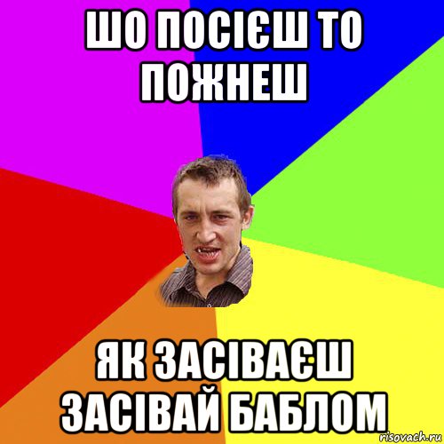 шо посієш то пожнеш як засіваєш засівай баблом, Мем Чоткий паца