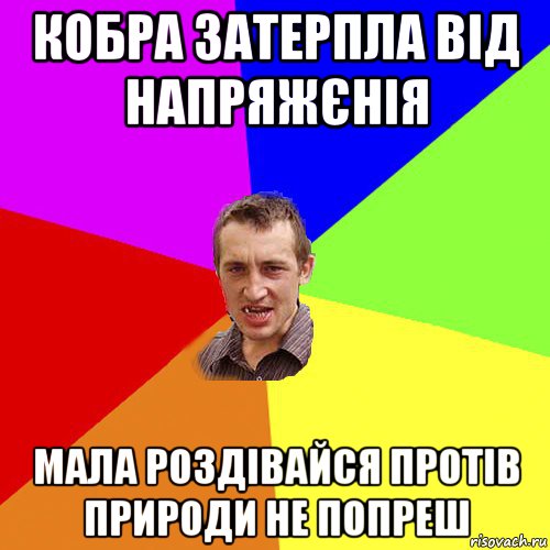 кобра затерпла від напряжєнія мала роздівайся протів природи не попреш, Мем Чоткий паца