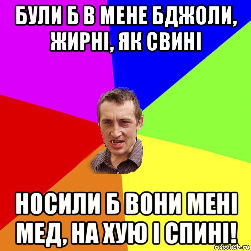 були б в мене бджоли, жирні, як свині носили б вони мені мед, на хую і спині!, Мем Чоткий паца