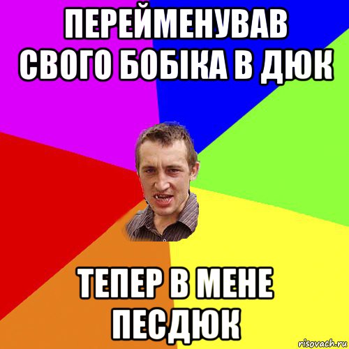 перейменував свого бобіка в дюк тепер в мене песдюк, Мем Чоткий паца