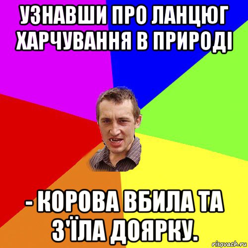 узнавши про ланцюг харчування в природі - корова вбила та з'їла доярку., Мем Чоткий паца