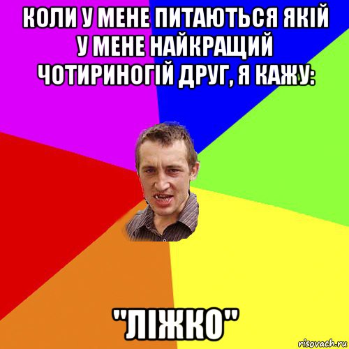 коли у мене питаються якій у мене найкращий чотириногій друг, я кажу: "ліжко", Мем Чоткий паца