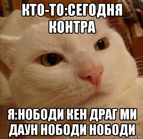 кто-то:сегодня контра я:нободи кен драг ми даун нободи нободи, Мем Дерзкий котэ