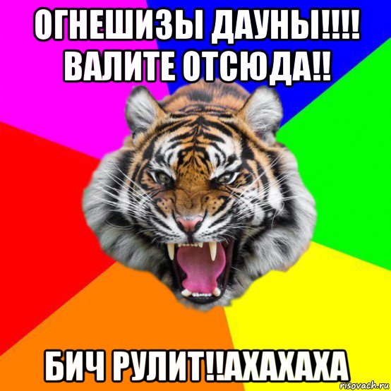 огнешизы дауны!!!! валите отсюда!! бич рулит!!ахахаха, Мем  ДЕРЗКИЙ ТИГР