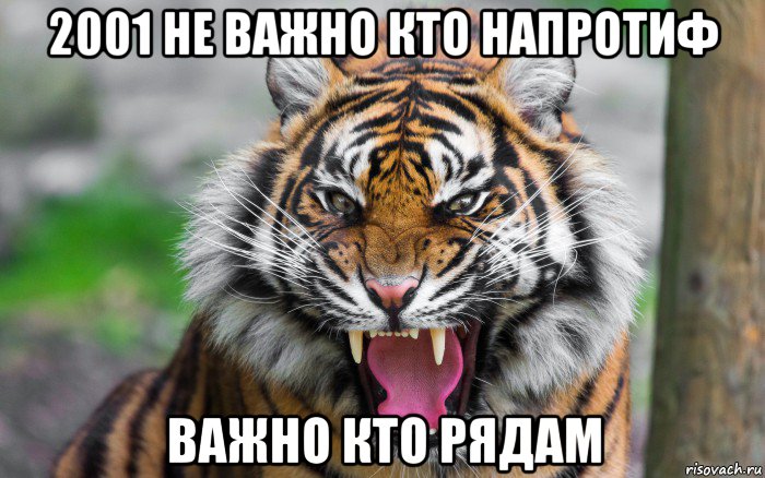 2001 не важно кто напротиф важно кто рядам, Мем ДЕРЗКИЙ ТИГР