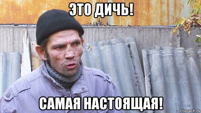 это дичь! самая настоящая!