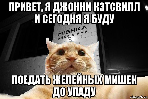 привет, я джонни кэтсвилл и сегодня я буду поедать желейных мишек до упаду, Мем   Джонни Кэтсвилл