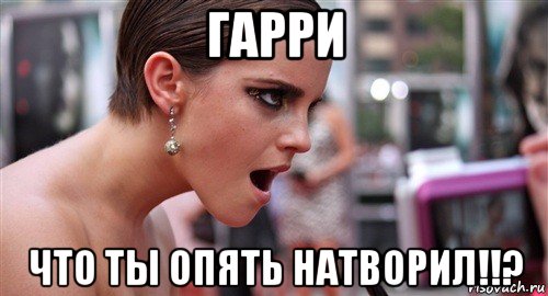 гарри что ты опять натворил!!?