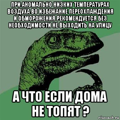 при аномально низких температурах воздуха во избежание переохлаждения и обморожения рекомендуется без необходимости не выходить на улицу а что если дома не топят ?, Мем Филосораптор