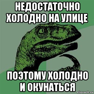 недостаточно холодно на улице поэтому холодно и окунаться, Мем Филосораптор