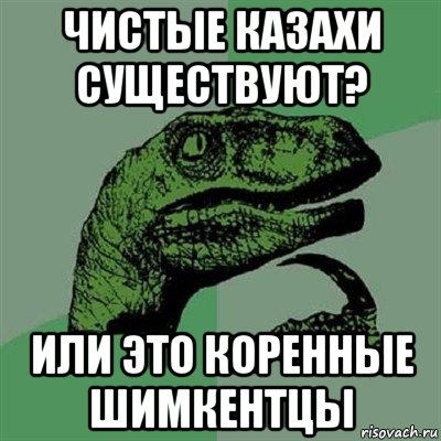 чистые казахи существуют? или это коренные шимкентцы, Мем Филосораптор