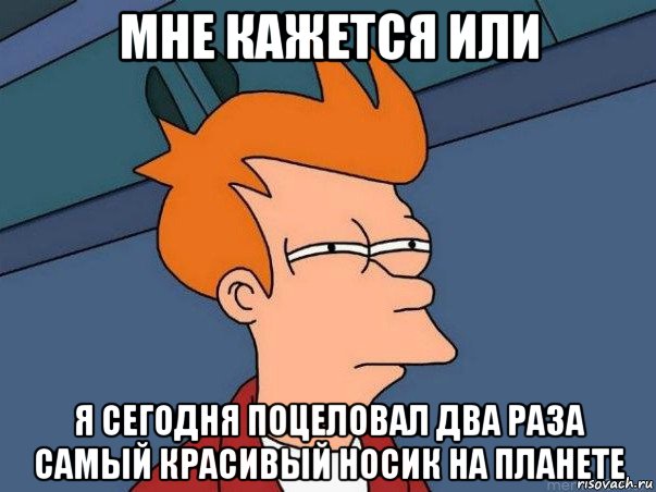 мне кажется или я сегодня поцеловал два раза самый красивый носик на планете, Мем  Фрай (мне кажется или)