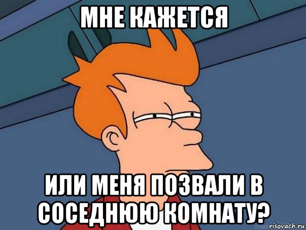 мне кажется или меня позвали в соседнюю комнату?, Мем  Фрай (мне кажется или)