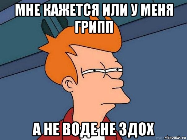 мне кажется или у меня грипп а не воде не здох, Мем  Фрай (мне кажется или)