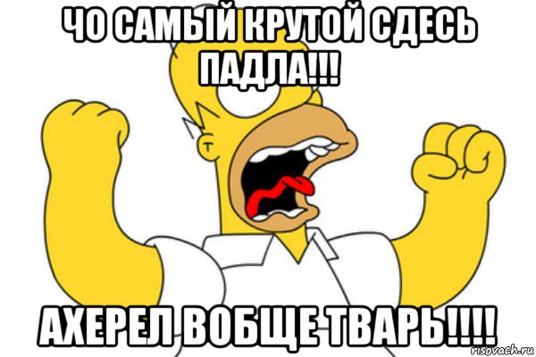 чо самый крутой сдесь падла!!! ахерел вобще тварь!!!!, Мем Разъяренный Гомер