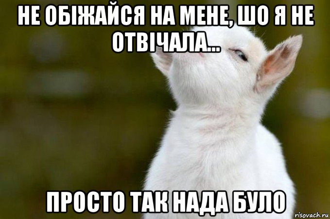 не обіжайся на мене, шо я не отвічала... просто так нада було, Мем  Гордый козленок