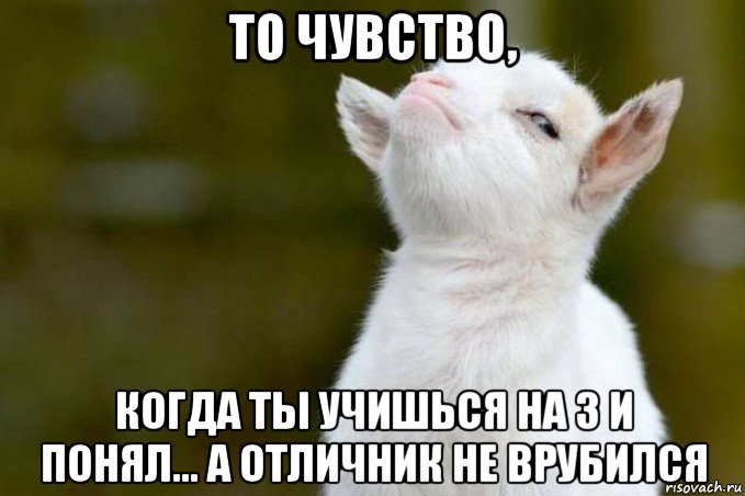 то чувство, когда ты учишься на 3 и понял... а отличник не врубился, Мем  Гордый козленок