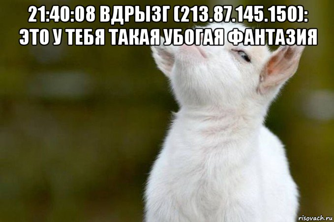 21:40:08 вдрызг (213.87.145.150): это у тебя такая убогая фантазия , Мем  Гордый козленок